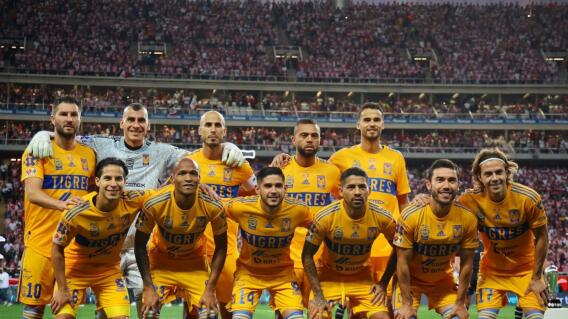 Tigres Tigres