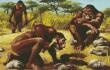 11118_La Kalle. Homo erectus / Foto: AFP