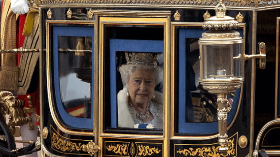 isabelii.gif isabelii.gif