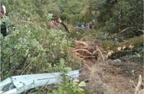 275818_Foto tomada de Twitter