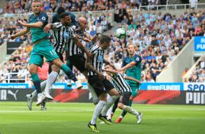 285991_tottenhamnewcastle110818afp_e.jpg