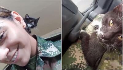 Chimuelo, el ‘michi militar’ que fue adoptado por soldados