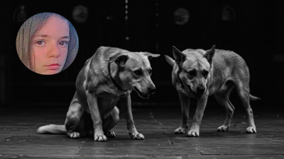 Menor de edad pierde la vida por ataque de un perro; dueño tomó controversial decisión
