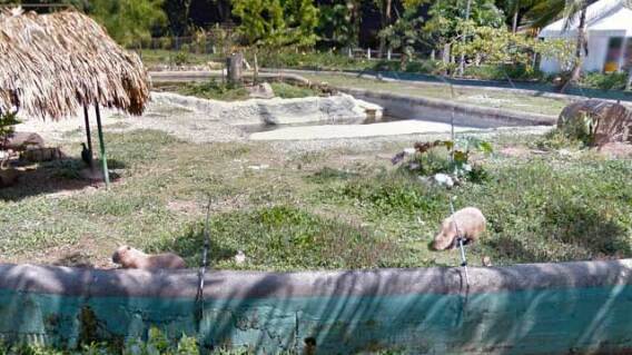 300415_zoologico.jpg 300415_zoologico.jpg