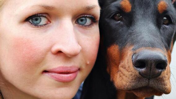 5486_La Kalle - Conoce al perro que es capaz de detectar cáncer - Foto: Referencia Pixabay 5486_La Kalle - Conoce al perro que es capaz de detectar cáncer - Foto: Referencia Pixabay