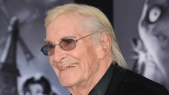 223256_martin-landau.jpg 223256_martin-landau.jpg