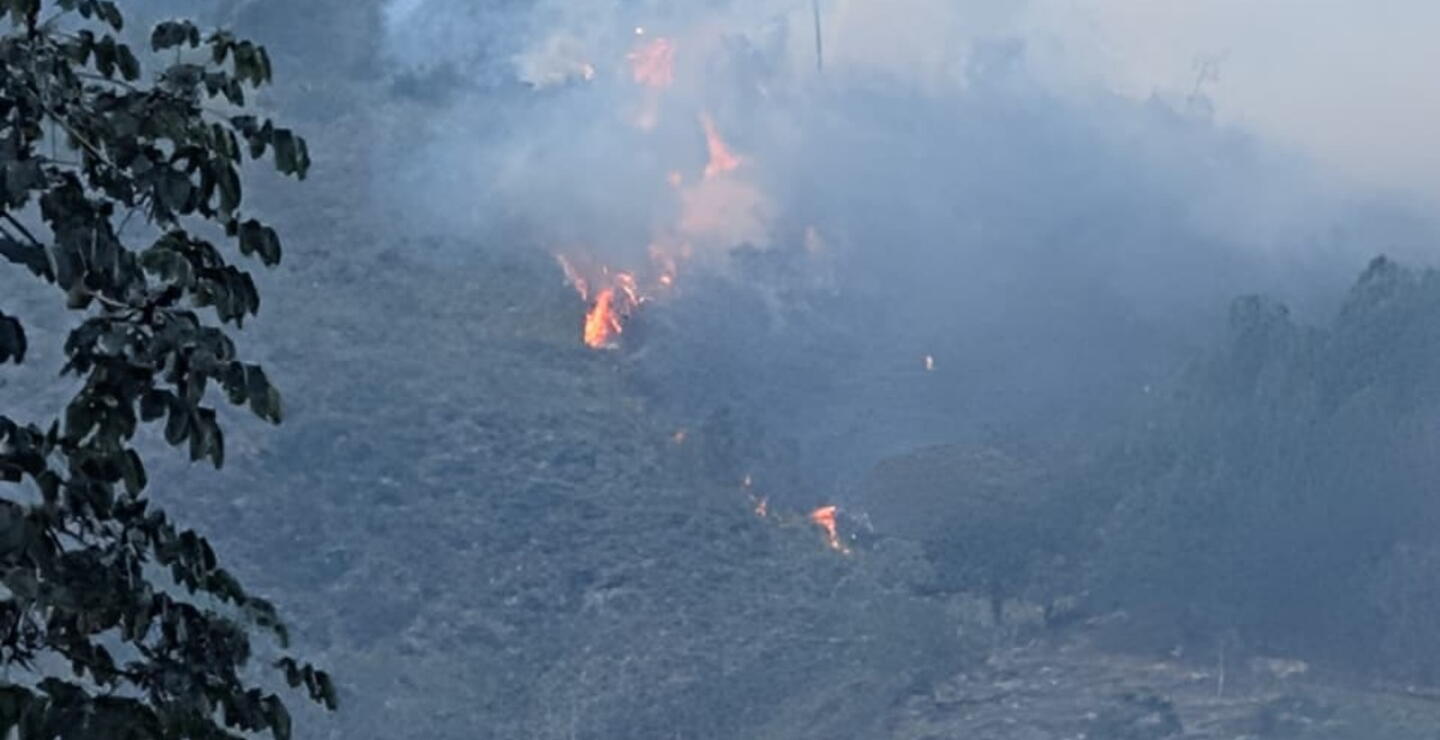 Incendio forestal en Matanza, Santander, consumió 30 hectáreas.