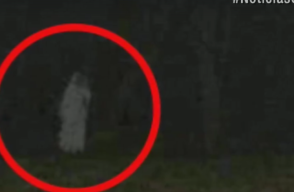 296760_BLU Radio. Supuesto fantasma aterra a los habitantes de Santa Marta // Foto: Captura video