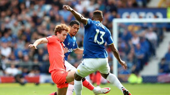 Everton v Norwich City - Premier League Everton v Norwich City - Premier League