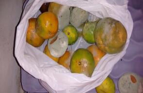 264288_Foto suministrada por denunciantes