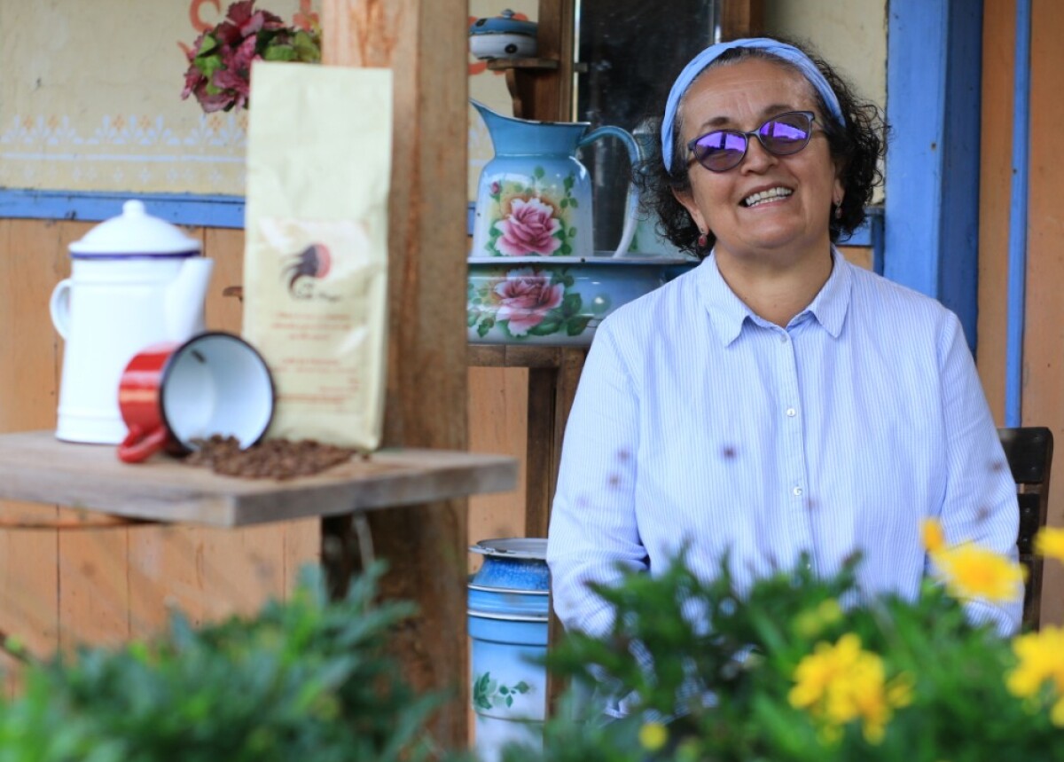 Mejores productoras de café del Valle del Cauca.jpg