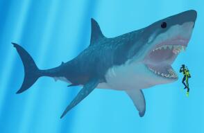 ¿Realmente existió el Megalodón? Este sería el animal que acabó con su vida