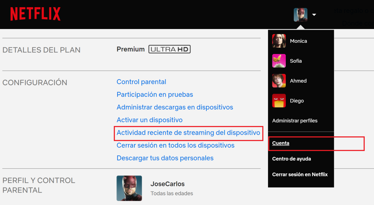 Netflix Pirata
