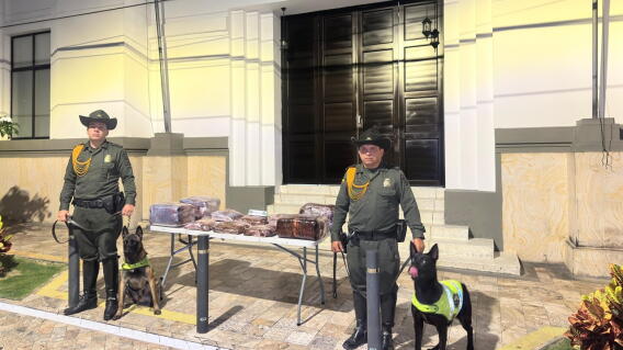 Perro Policía detectó cargamento de droga listo para comercializar en el área metropolitana de Bucaramanga