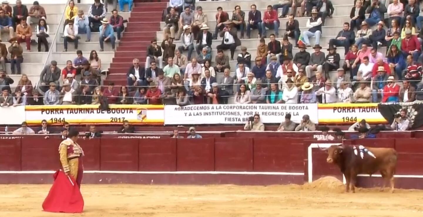 Abecé del fallo sobre las corridas de toros en Bogotá