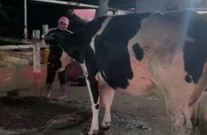 Por paro de camioneros, cerca de 290.000 litros de leche se perderían en Boyacá