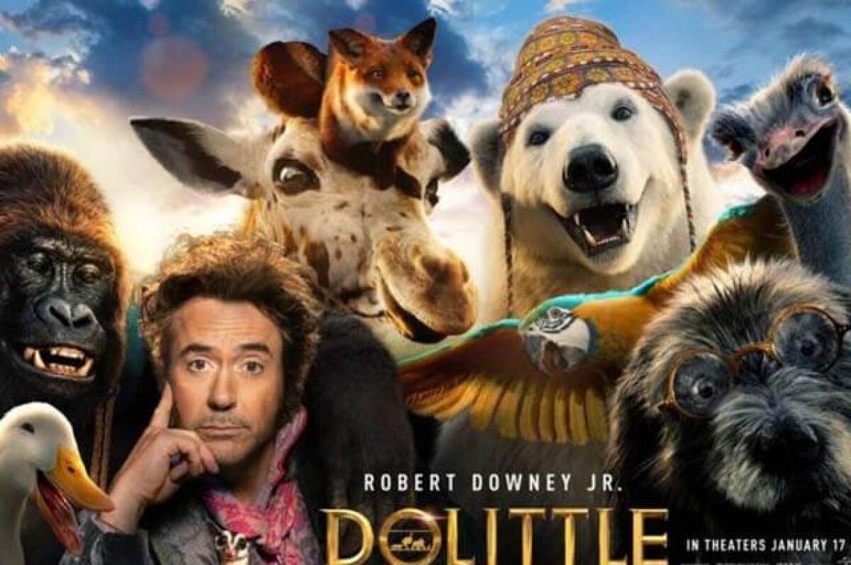 dolittle_laura_tobon_fonseca.jpg