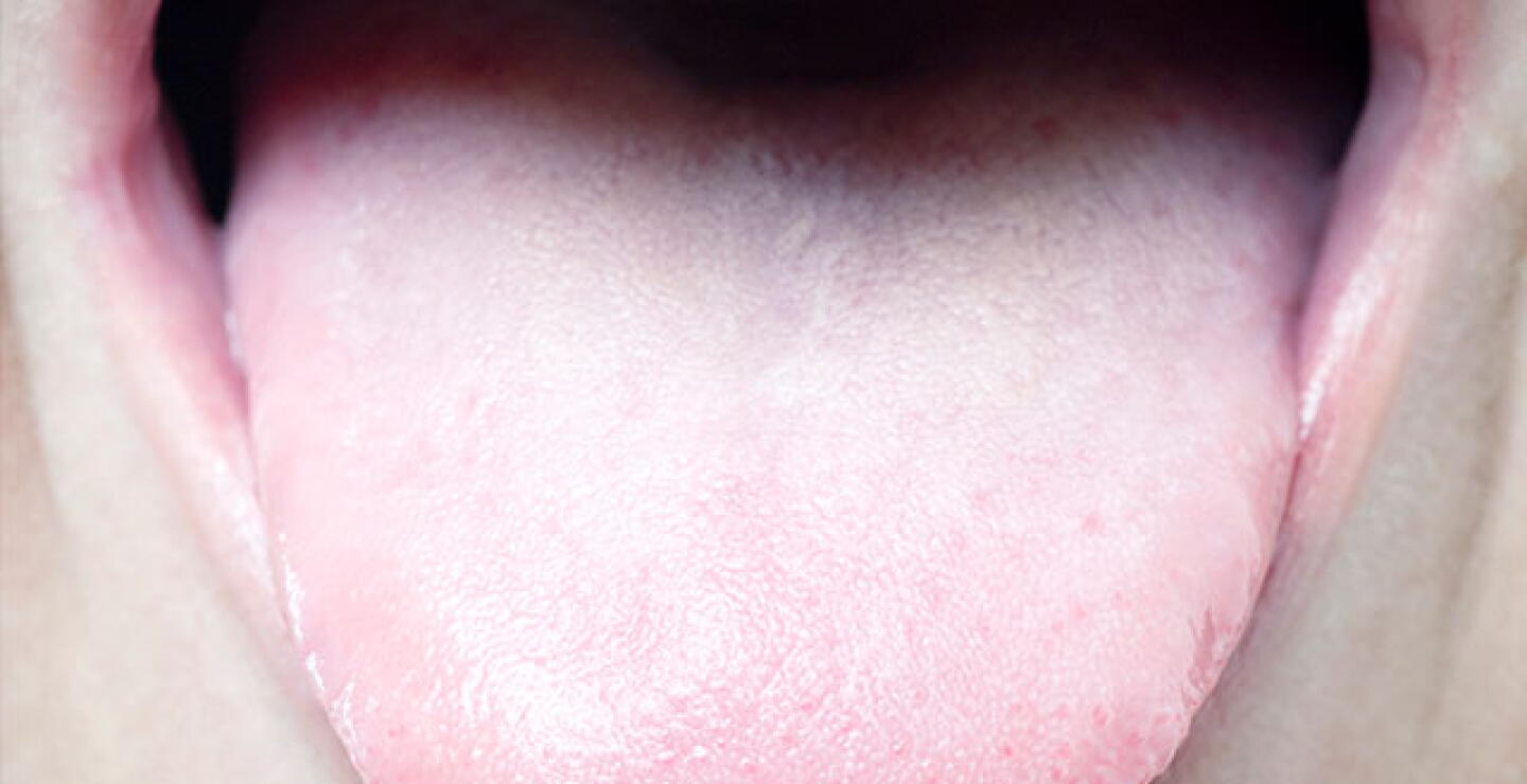 lengua.jpg