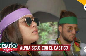 Alpha debe continuar con el castigo - Desafío The Box