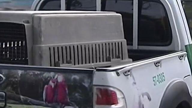 Niña de dos años fue mordida por perro de su familia