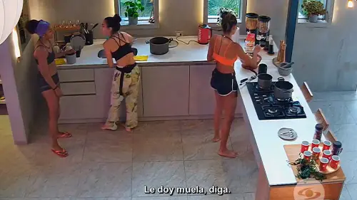 Las mujeres de Alpha confiesan qué hombre les gusta del Desafío 2024.