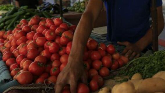 140082_Referencia. Foto: AFP.