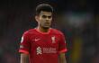 Liverpool v Norwich City - Premier League