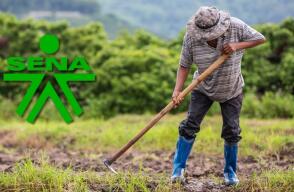 SENA lanza tiendas para campesinos