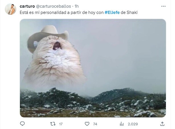 ‘El jefe’ de Shakira: vea los mejores memes que dejo la cancion de la barranquillera