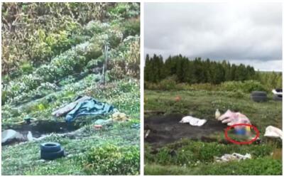 Estas imágenes del cultivo de papa en el que hallaron el cuerpo de Dilan Santiago son clave