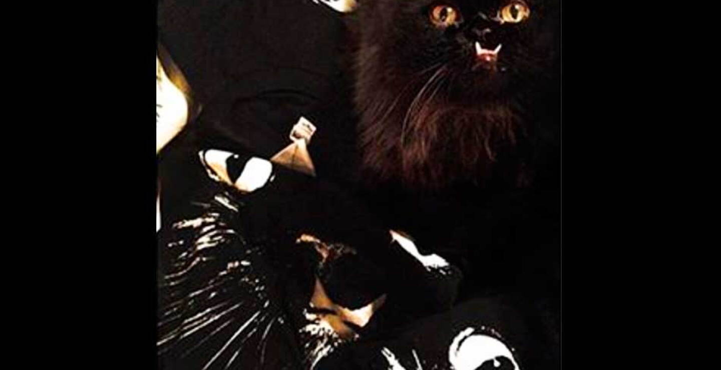 gata-6.jpg