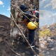 Incendio en Coromoro, Santander, afecta complejo de páramos Guantiva-La Rusia, varios frailejones quemados