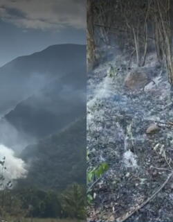 Incendios en Ortega, Tolima: 14.000 hectáreas quemadas y 35.000 reses en riesgo por emergencia