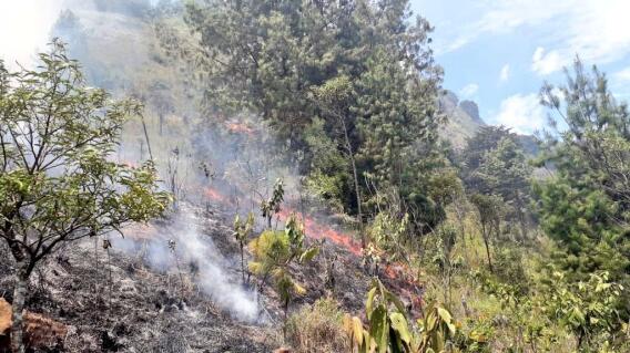 340056_BLU Radio. Incendio en la ladera oriental de Medellín / Foto: Dagrd Medellín