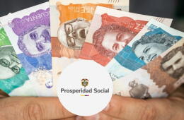 Renta Ciudadana y Devolución del IVA: cómo será el cuarto pago de 2026 y quiénes lo recibirán