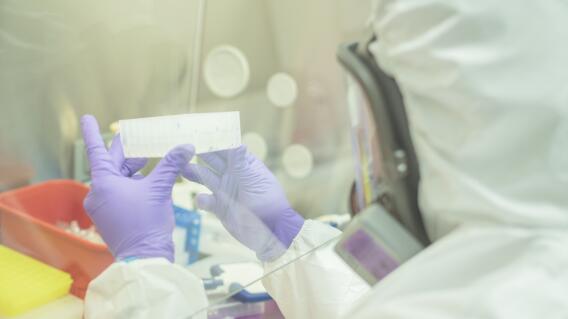 367365_coronavirus_ruta_n_10