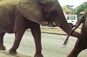 1015_Foto referencia: AFP