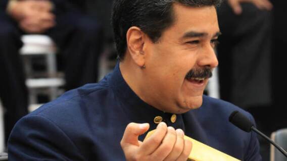 369322_maduro_oro_.jpg