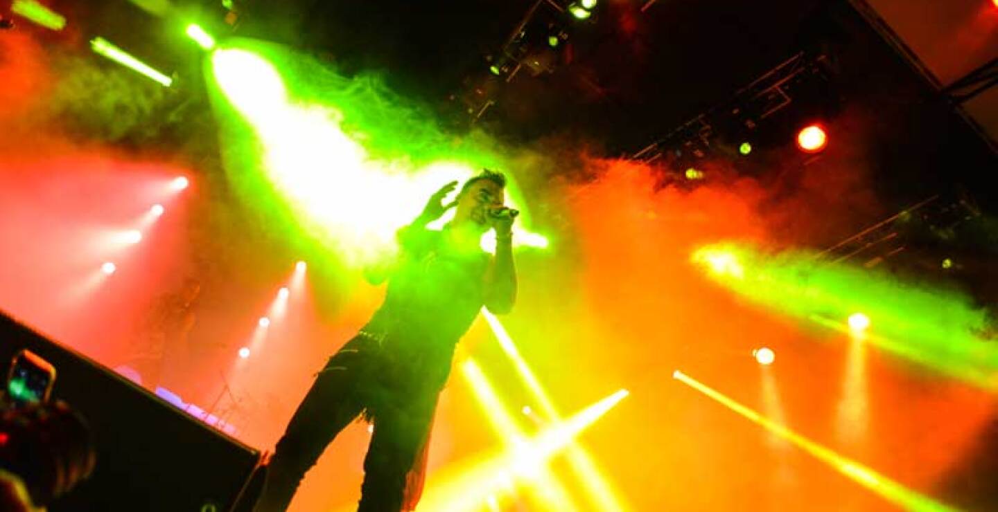 573462_fox_5944.jpg