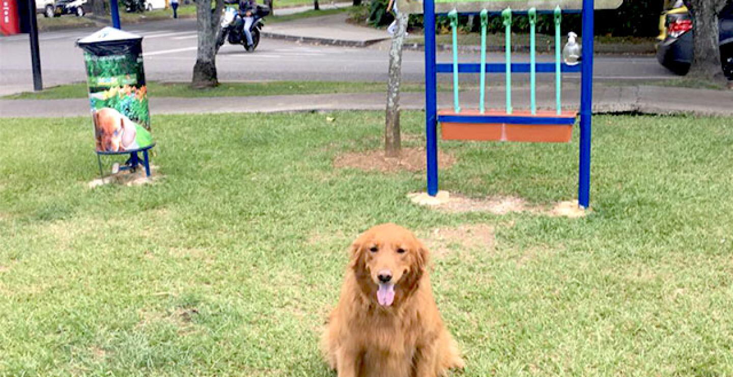 Foto. Santiago Jaramillo Agudelo.
