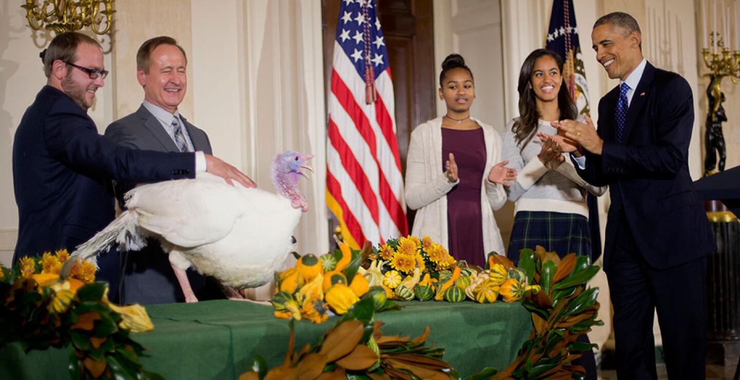 "Sé que algunos llamarán a esto amnistía -como se refieren algunos republicanos a la regularización-, pero no os preocupéis, hay pavo para todos", añadió entre risas.