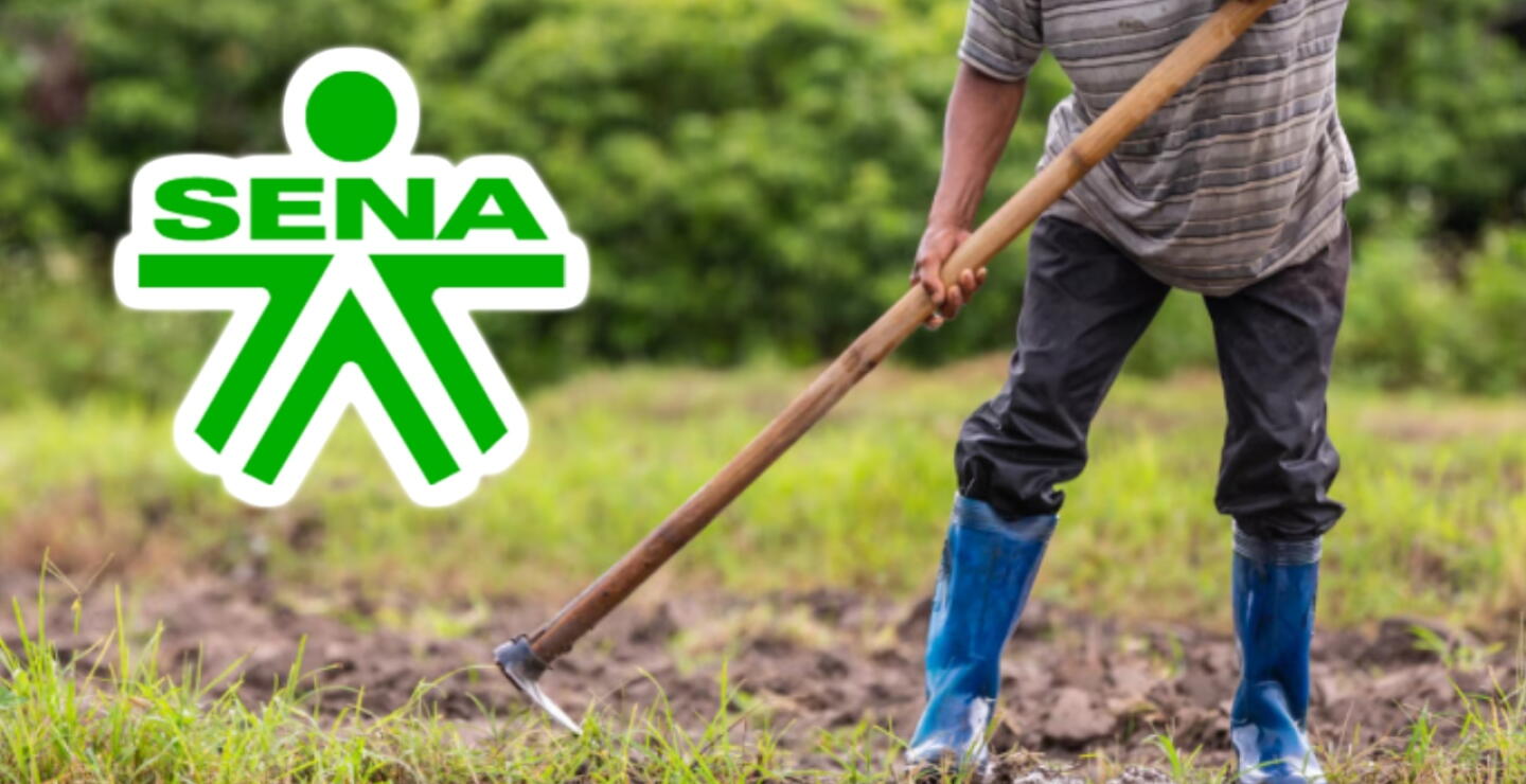 Estas son las personas que pueden obtener certificados del Sena sin hacer ningún curso
