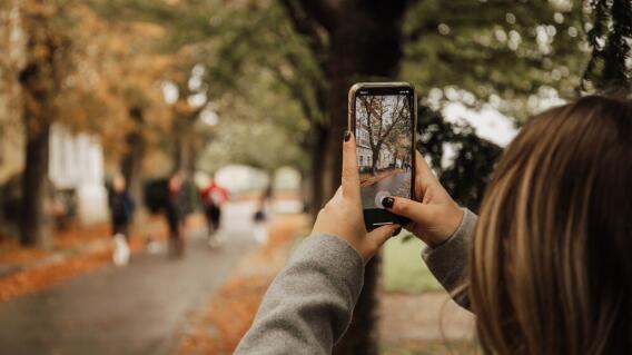 Esta es la manera de recuperar sus fotos eliminadas de Google Esta es la manera de recuperar sus fotos eliminadas de Google