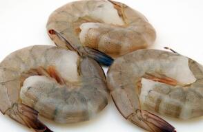 16049_La Kalle- Foto: Camarones contaminados con cocaína- Pixabay