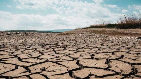 Fenómeno de El Niño en Colombia: Ideam y Minambiente hacen alerta sobre aumento de probabilidad
