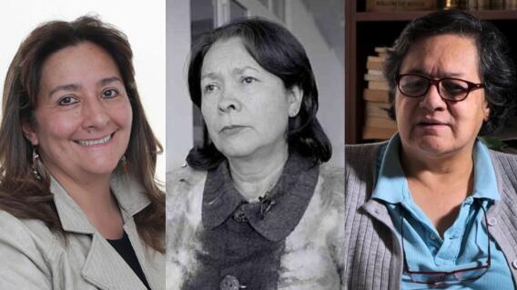 Petro envió a Corte Suprema terna para fiscal general: Amparo Cerón, Ángela Buitrago y Amelia Pérez Petro envió a Corte Suprema terna para fiscal general: Amparo Cerón, Ángela Buitrago y Amelia Pérez