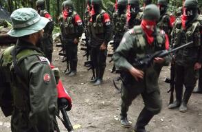 eln_16.jpg