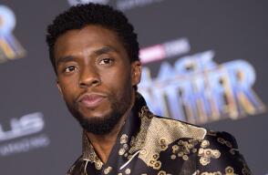 254878_black_panther.jpg