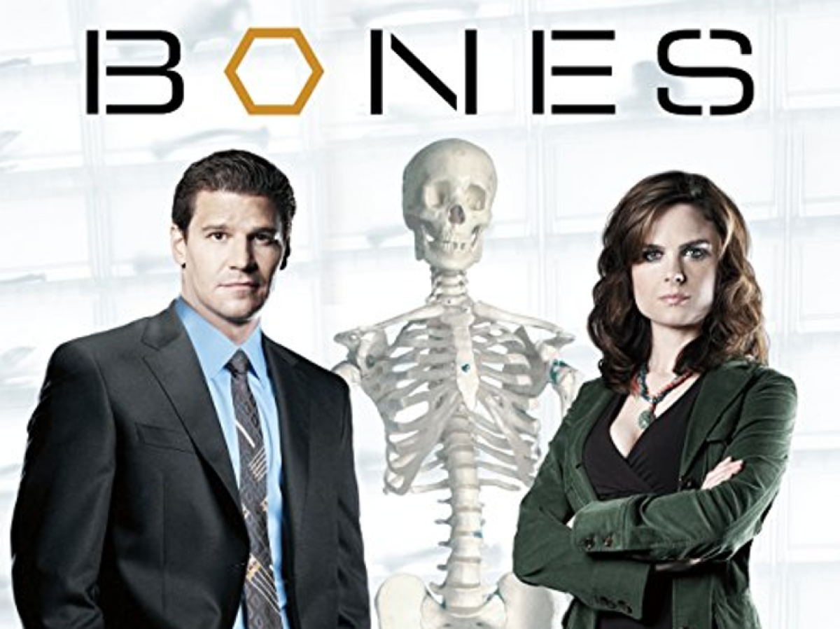 648035_bones.png