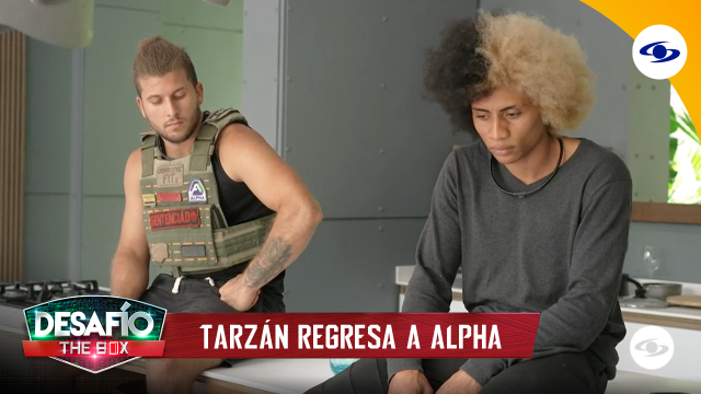 Tarzán regresa a la competencia - Desafío The Box